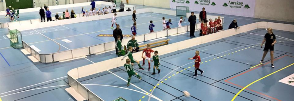 Aurskog Sparebank Cup 2019 - Jenter 6